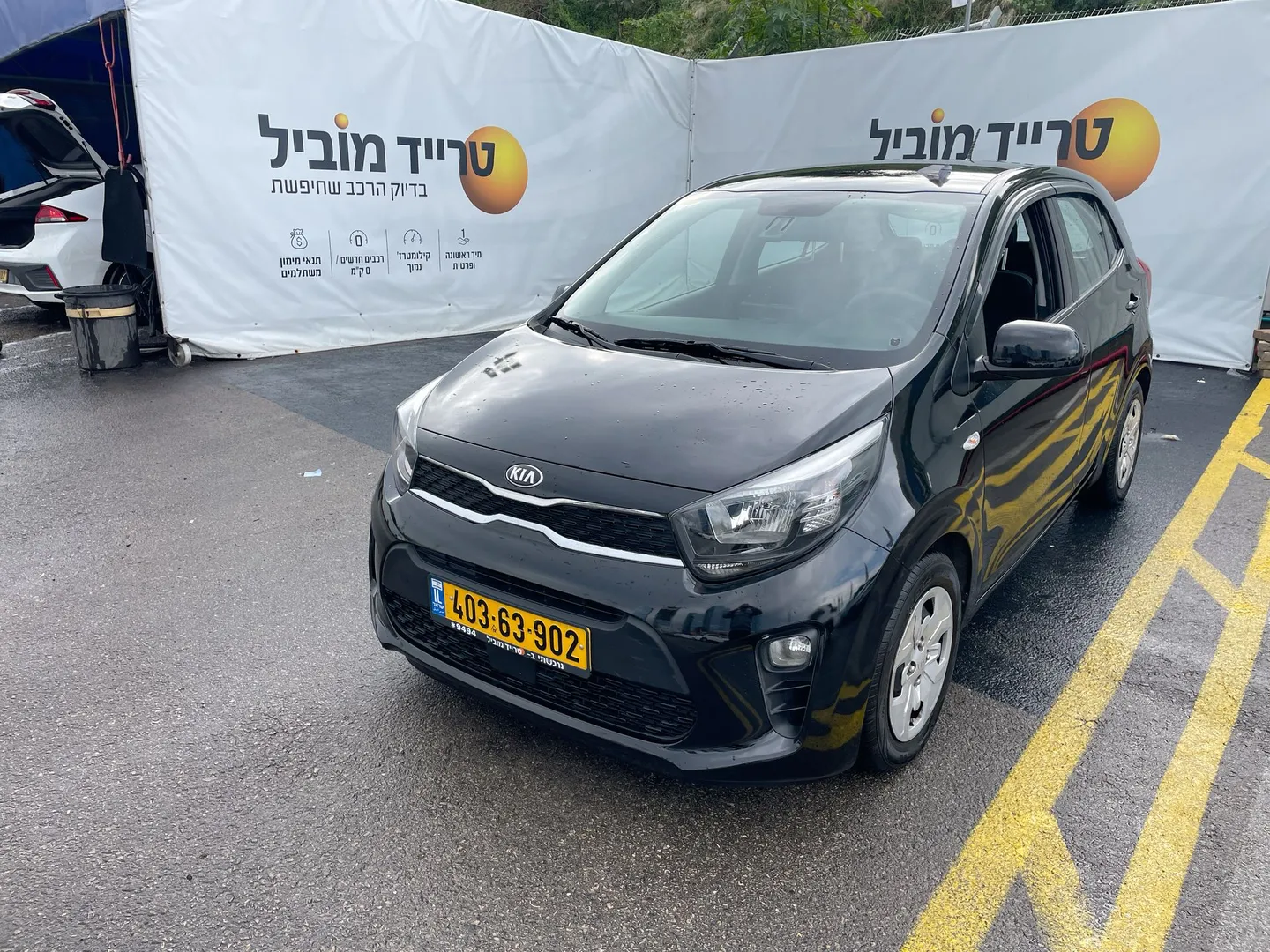 קיה - פיקנטו