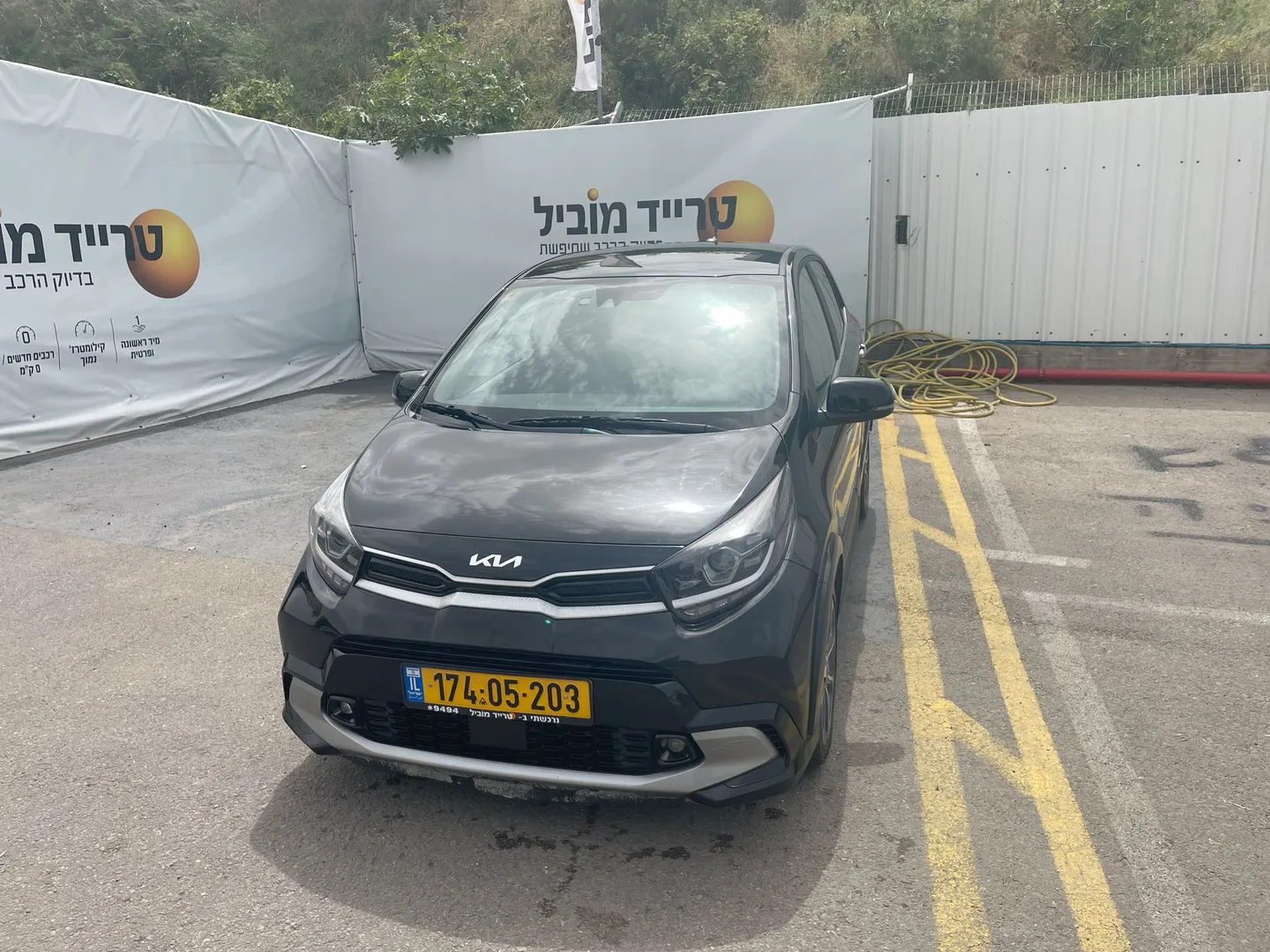 קיה - פיקנטו