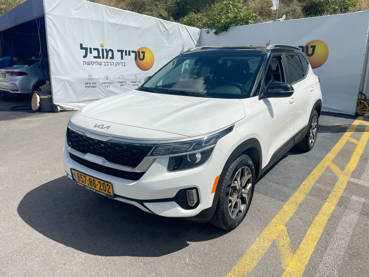 קיה - סלטוס