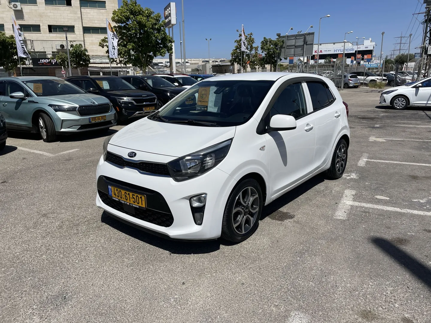 קיה - פיקנטו