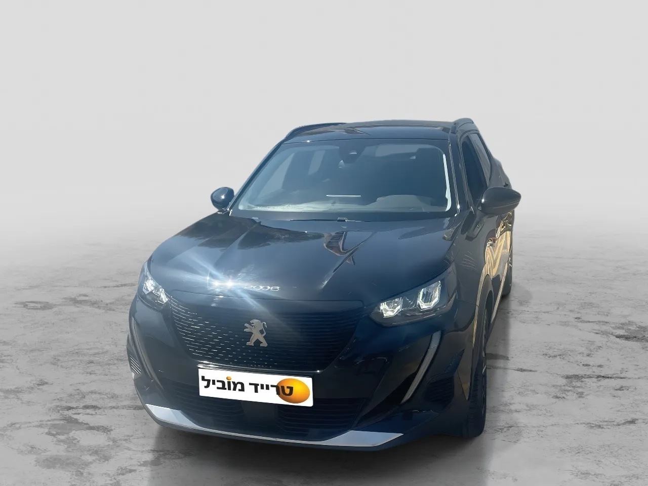 פיג'ו - 2008