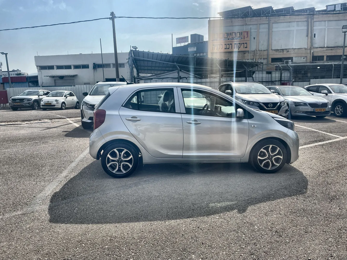 קיה - פיקנטו