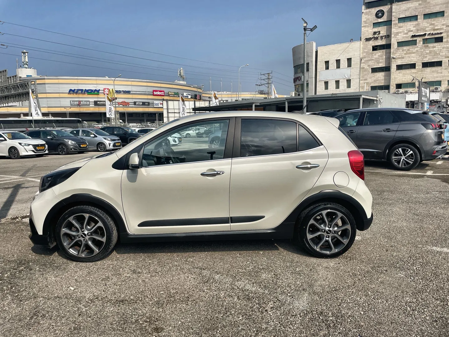 קיה - פיקנטו