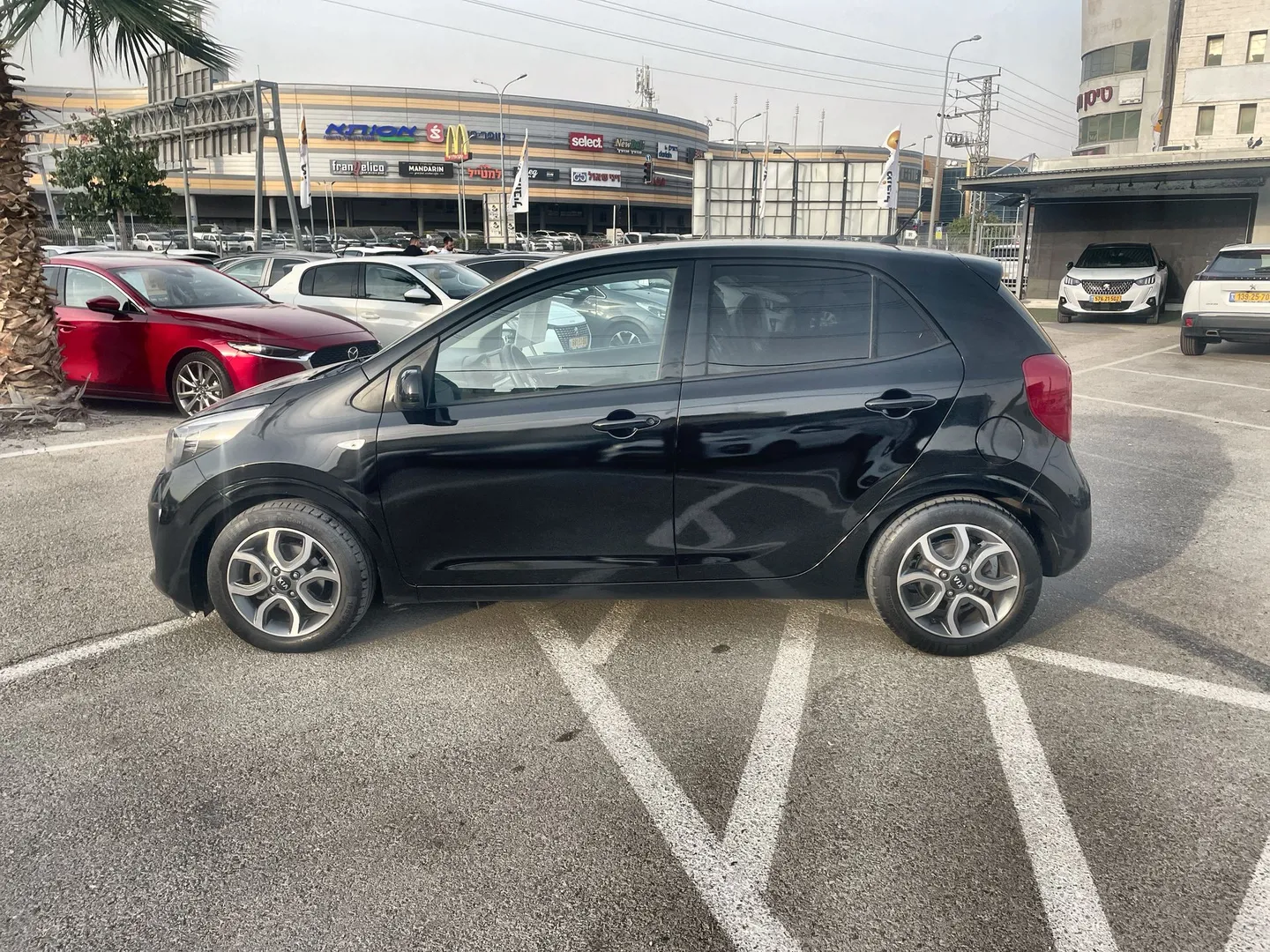 קיה - פיקנטו