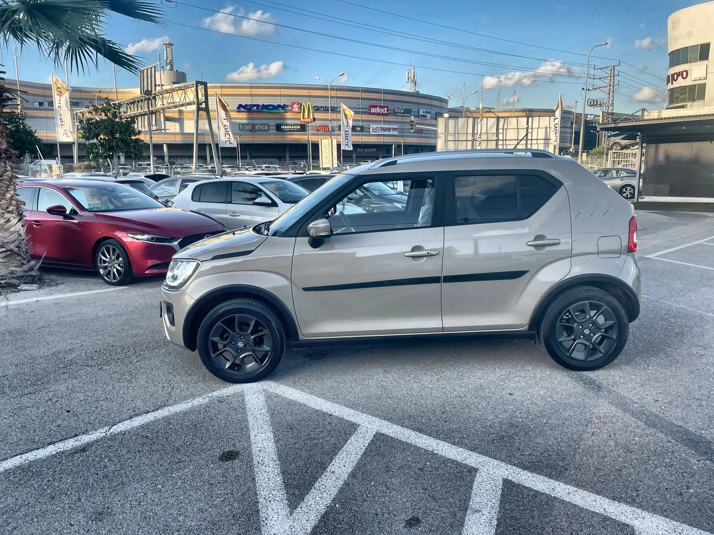 סוזוקי - איגניס