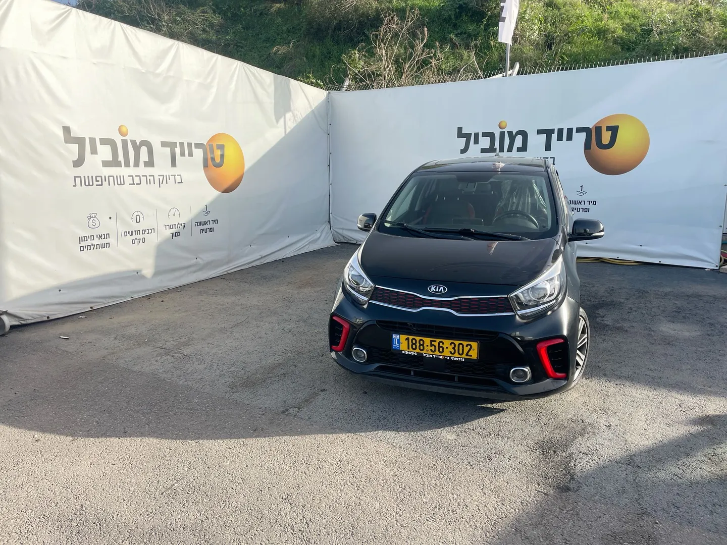 קיה - פיקנטו